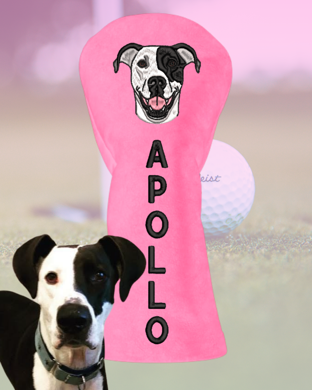 Man's Best Friend Headcover