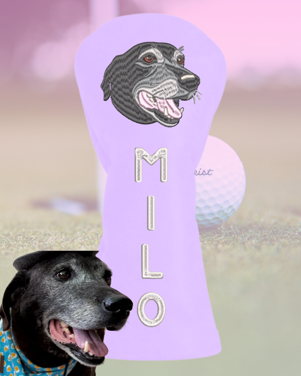 Man's Best Friend Headcover